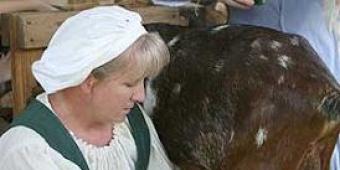 Бизнес на разведении коз с нуля: пошаговая инструкция и оценка Разведение коз на мясо как бизнес